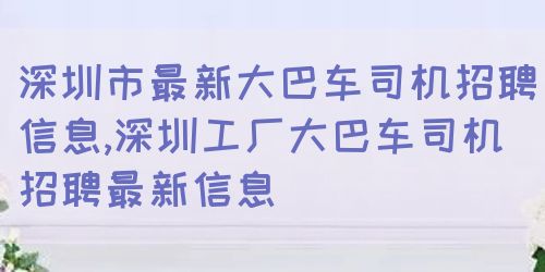 深圳司机最新招聘信息，职位详情与要求全解析