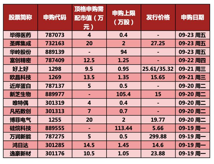 万润股份最新消息全面解读与分析