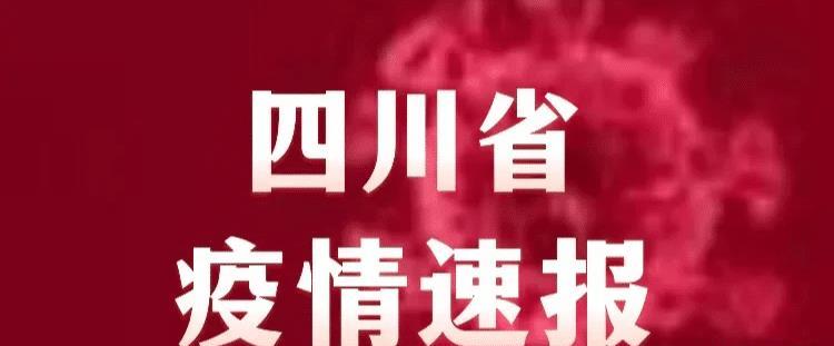 四川最新疫情通报分析，最新数据解读与趋势预测