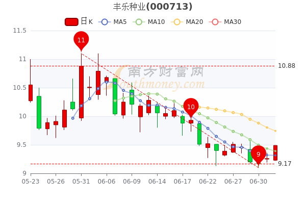 丰乐种业最新消息全面解读与分析