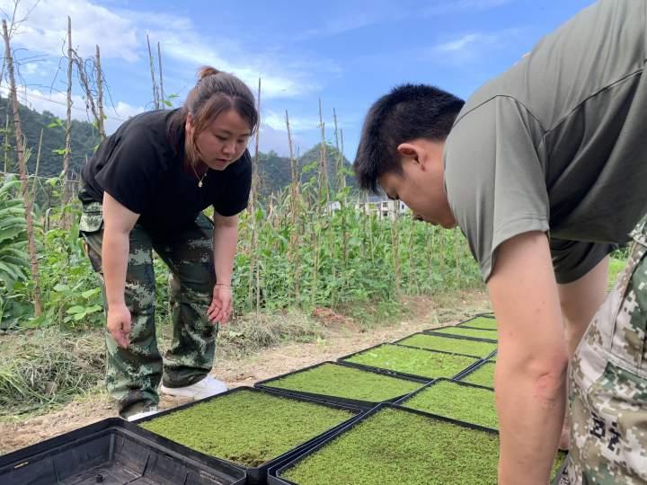 景宁畲族自治县自然资源和规划局领导团队概览